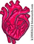 Heart Heart