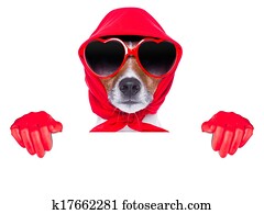 lady housewife dog lady housewife dog