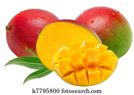 Mango Mango