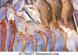 whole fresh fishes are offered in the fish market in asia