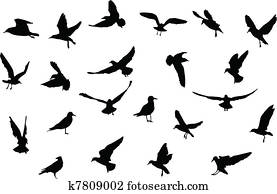 birds silhouettes birds silhouettes