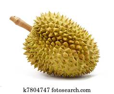 Durian isolated
