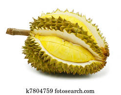 Durian isolated