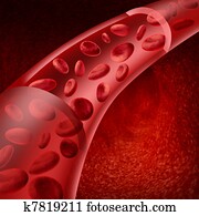 Blood cells Blood cells