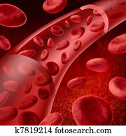 Blood cells Blood cells