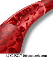 Blood cells Blood cells