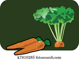 carrot carrot