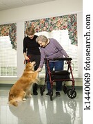Elderly woman with therapy dog. Elderly woman with therapy dog.
