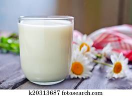 fresh milks fresh milks