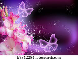 Gladiolus Gladiolus