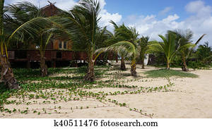 beach hut on sal island
