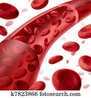 Blood cells flowing through veins Blood cells flowing through veins