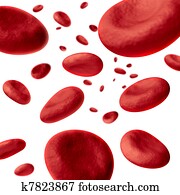 Blood cells Blood cells