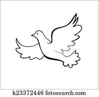 Dove Dove