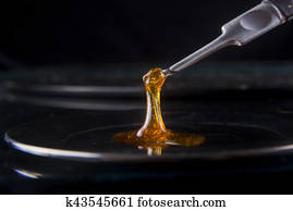 Melted cannabis oil concentrate aka shatter held on a dabbing tool Melted cannabis oil concentrate aka shatter held on a dabbing tool