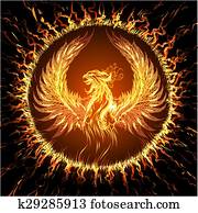 phoenix phoenix