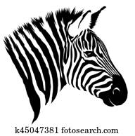 black and white linear paint draw zebra illustration black and white linear paint draw zebra illustration