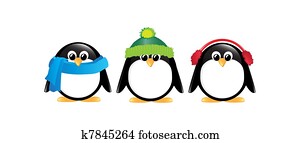 Penguins isolated Penguins isolated