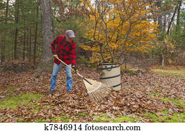 Raking leaves