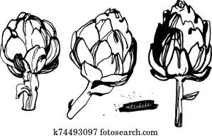 Artichokes Artichokes