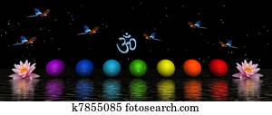 chakra chakra