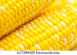 Corn cob Corn cob