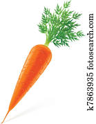 carrot with top carrot with top