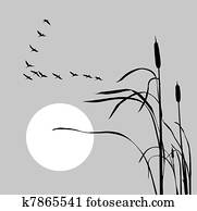 drawing flock geese on bulrush drawing flock geese on bulrush