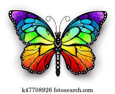 Rainbow monarch butterfly Rainbow monarch butterfly