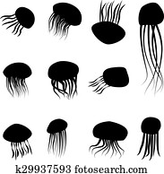 Set of jellyfish silhouettes Set of jellyfish silhouettes