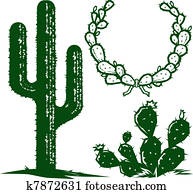 Cactus Cactus