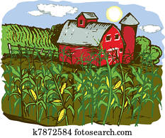 Corn Farm Corn Farm