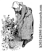 horiculture, 葡萄收获期, 描述, 妇女, 工作, 在花园, 带, 锄头