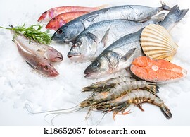 Seafood on ice