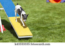Teeter Totter Stock Photos | Our Top 1000+ Teeter Totter Images Page 2