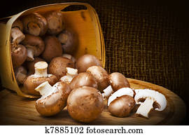 Champignon mushrooms with brown variety