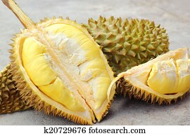 Durian fruit ripe for eaten