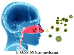pólen, alergia, /, febre feno