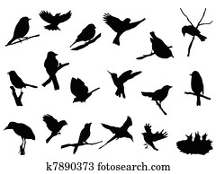 bird silhouettes collection