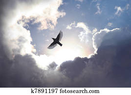 engelchen, vogel, in, himmel