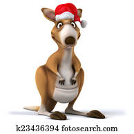 Fun kangaroo Fun kangaroo