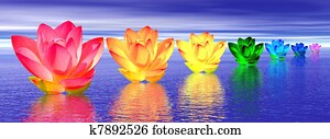 Lily flowers chakras by night Lily flowers chakras by night