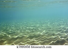 Underwater Underwater