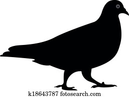 יונה, וקטור, silhouette,, וקטור