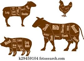 Chicken, pork, beef and lamb meat cuts scheme Chicken, pork, beef and lamb meat cuts scheme