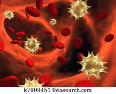 Virus infection Virus infection
