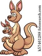 קנגורו, עם, תינוק