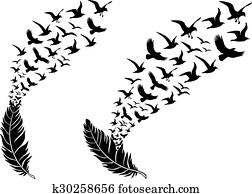 gefieder, mit, fliegen, birds,, vektor gefieder, mit, fliegen, birds,, vektor