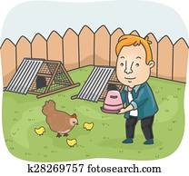 mann, huhn, hinterhof