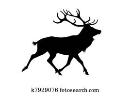 Deer isolated on white background Deer isolated on white background